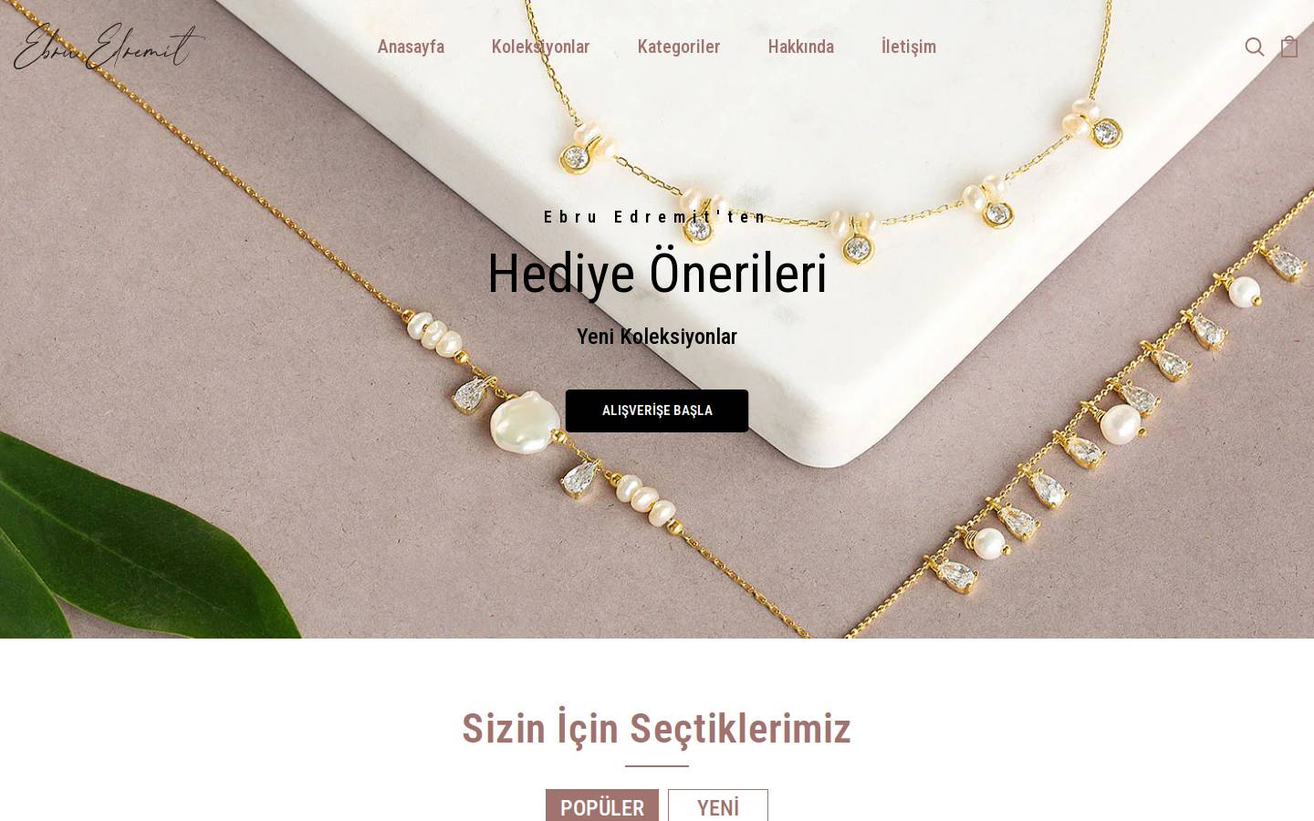 ebruedremit.com homepage screenshot