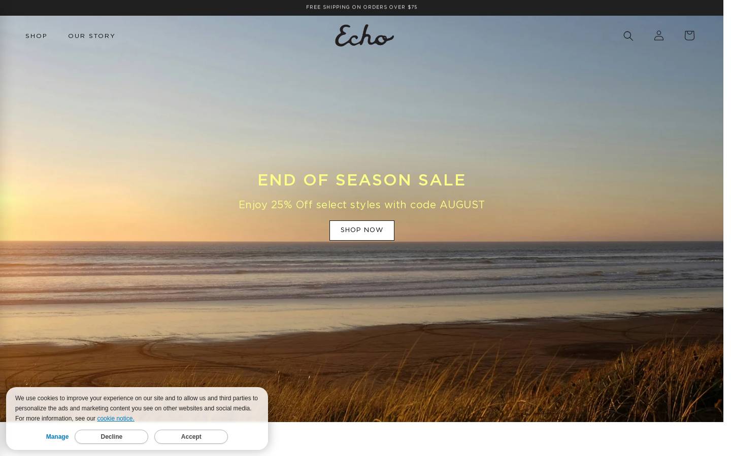 Echonewyork homepage screenshot