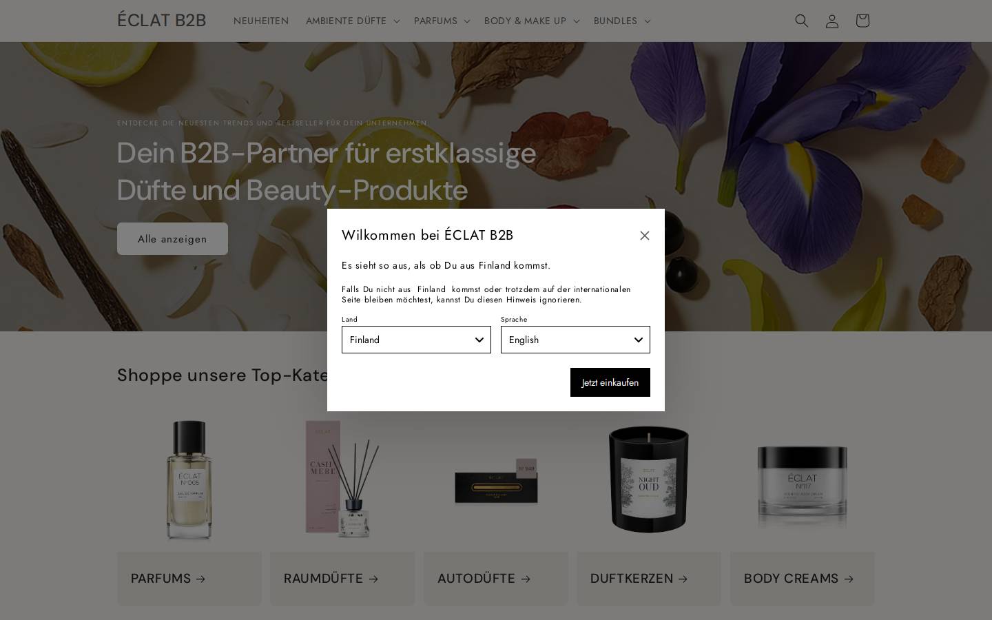 eclat-b2b.com homepage screenshot