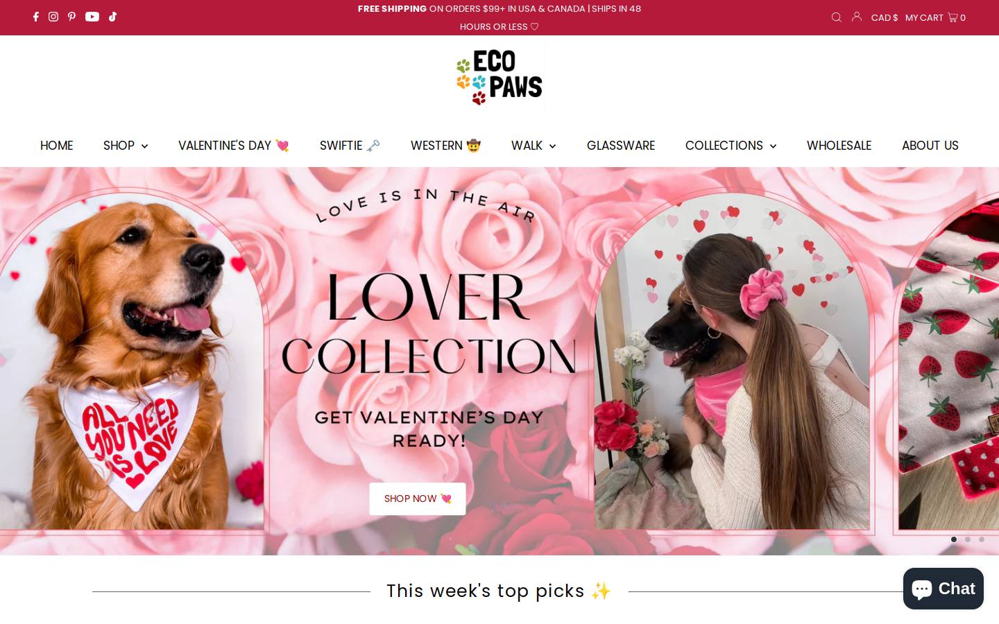 eco4paws.com homepage screenshot