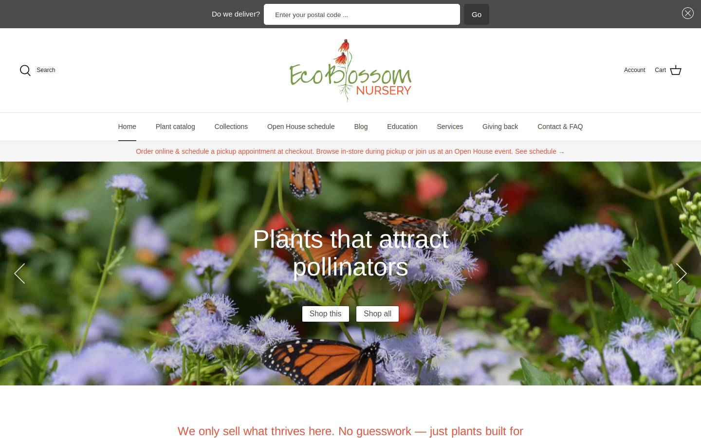 ecoblossom.com homepage screenshot