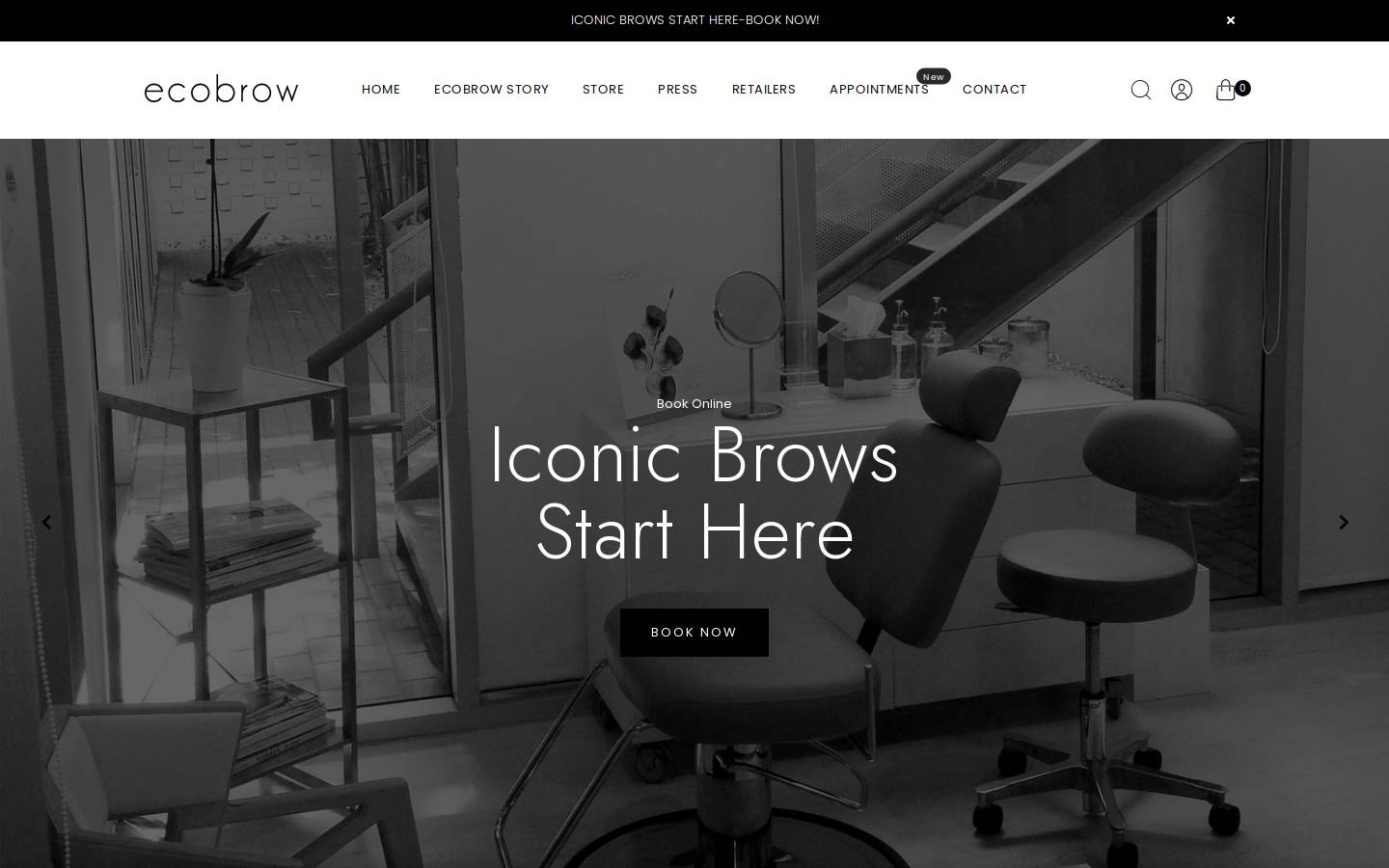 ecobrow.com homepage screenshot