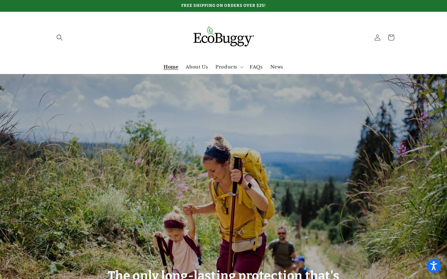 ecobuggy.com homepage screenshot