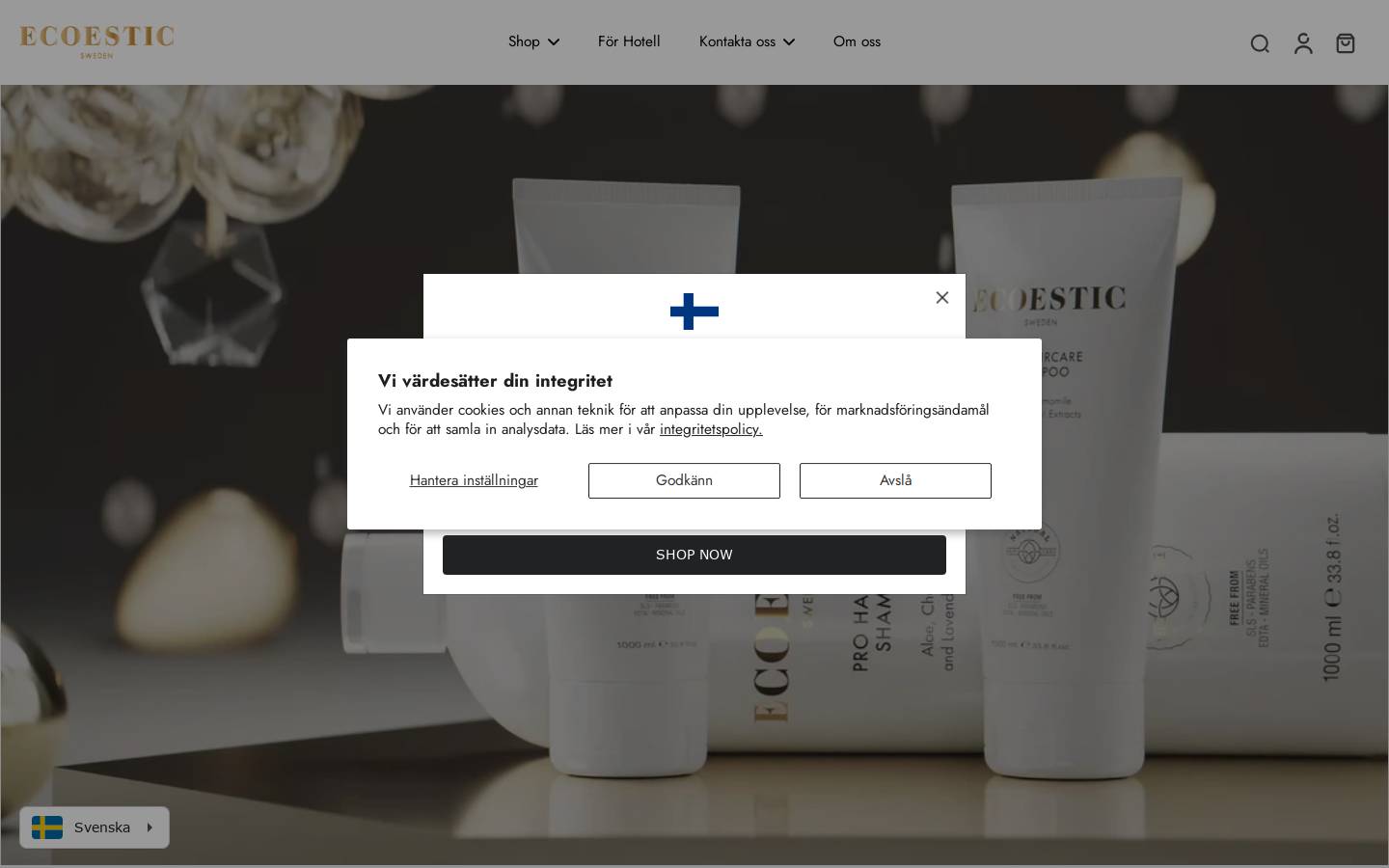 Ecoestic homepage screenshot
