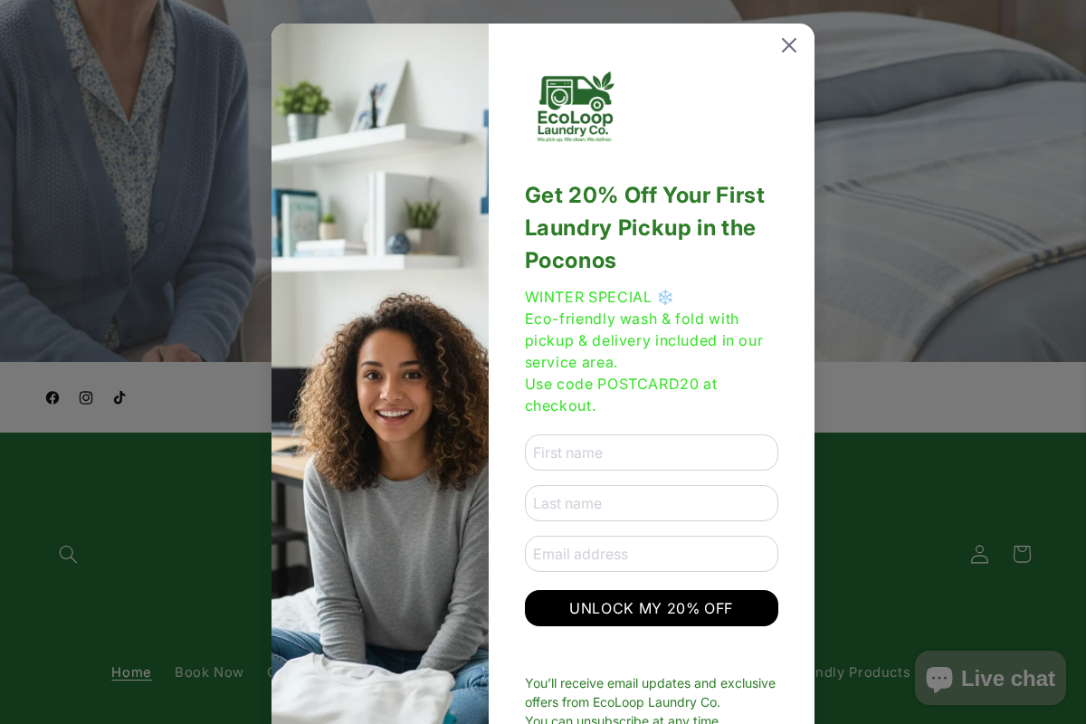 EcoLoop Laundry Co homepage screenshot