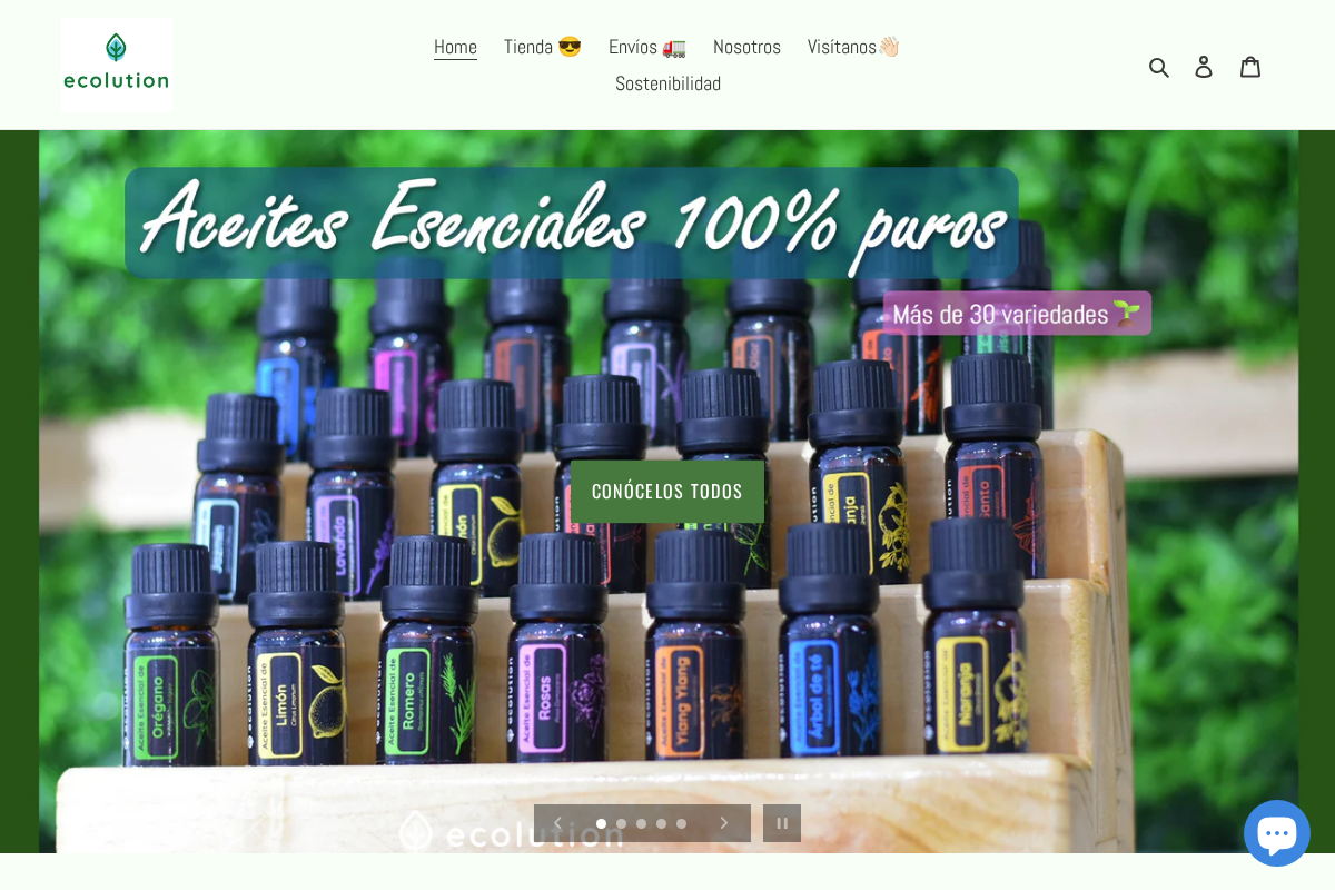 Ecolution Perú homepage screenshot