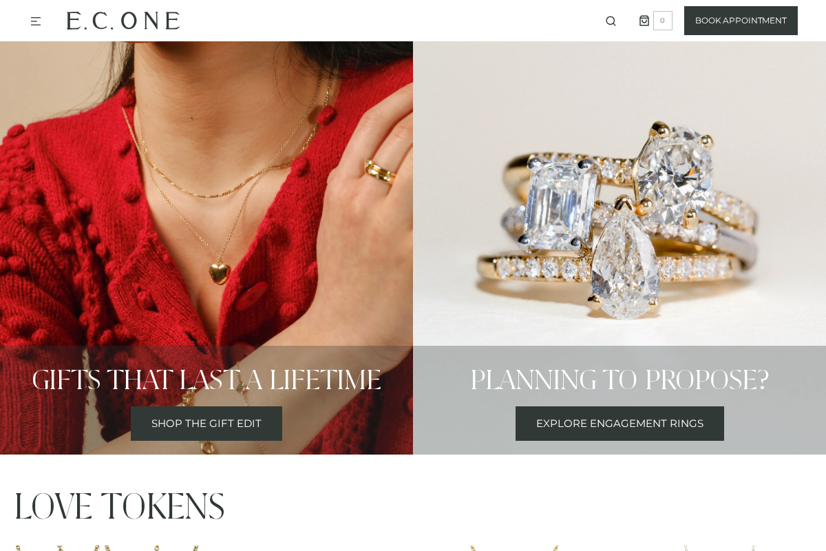 EC One homepage screenshot