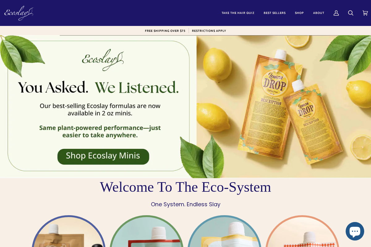 Ecoslay homepage screenshot