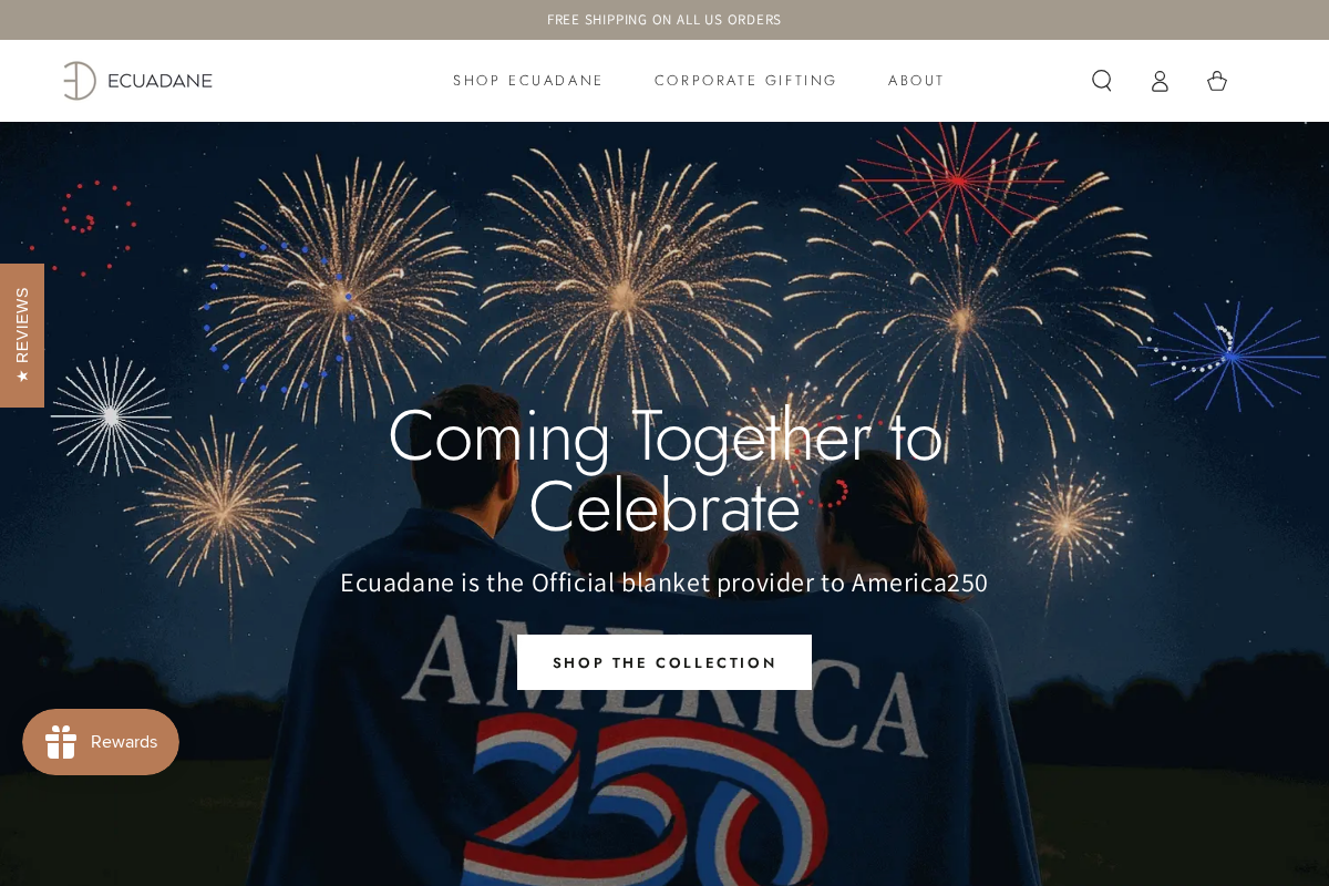 Ecuadane homepage screenshot