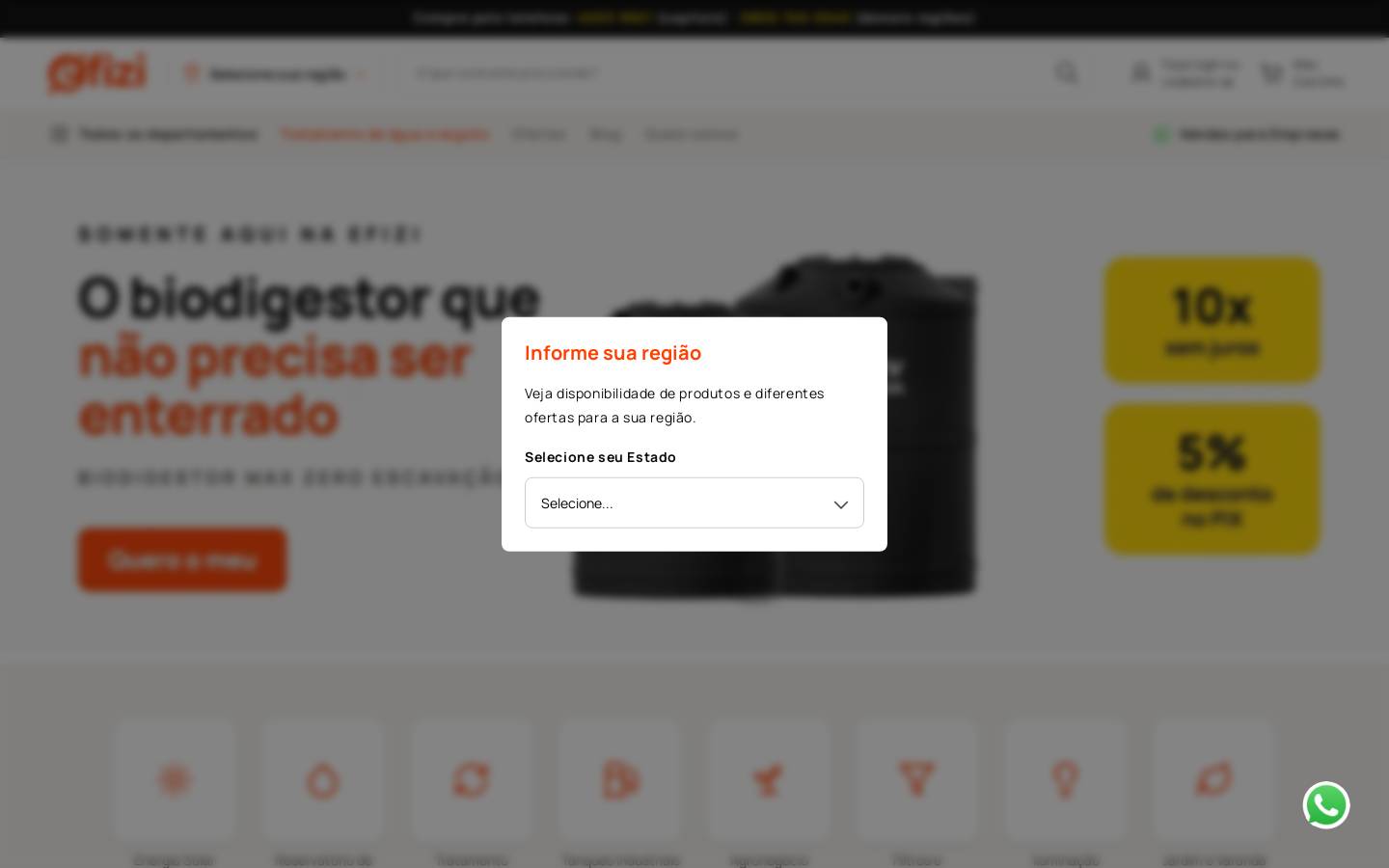 efizi.com.br homepage screenshot