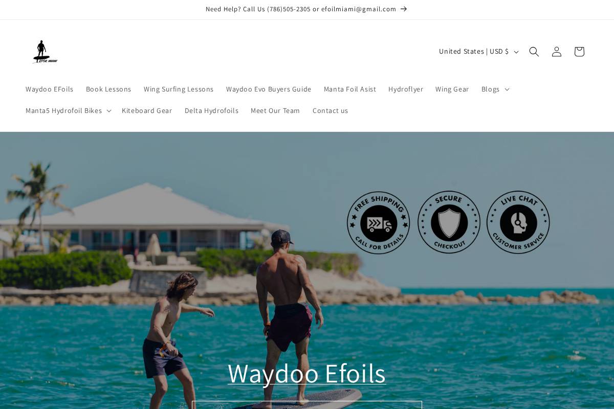 efoil-miami.com homepage screenshot