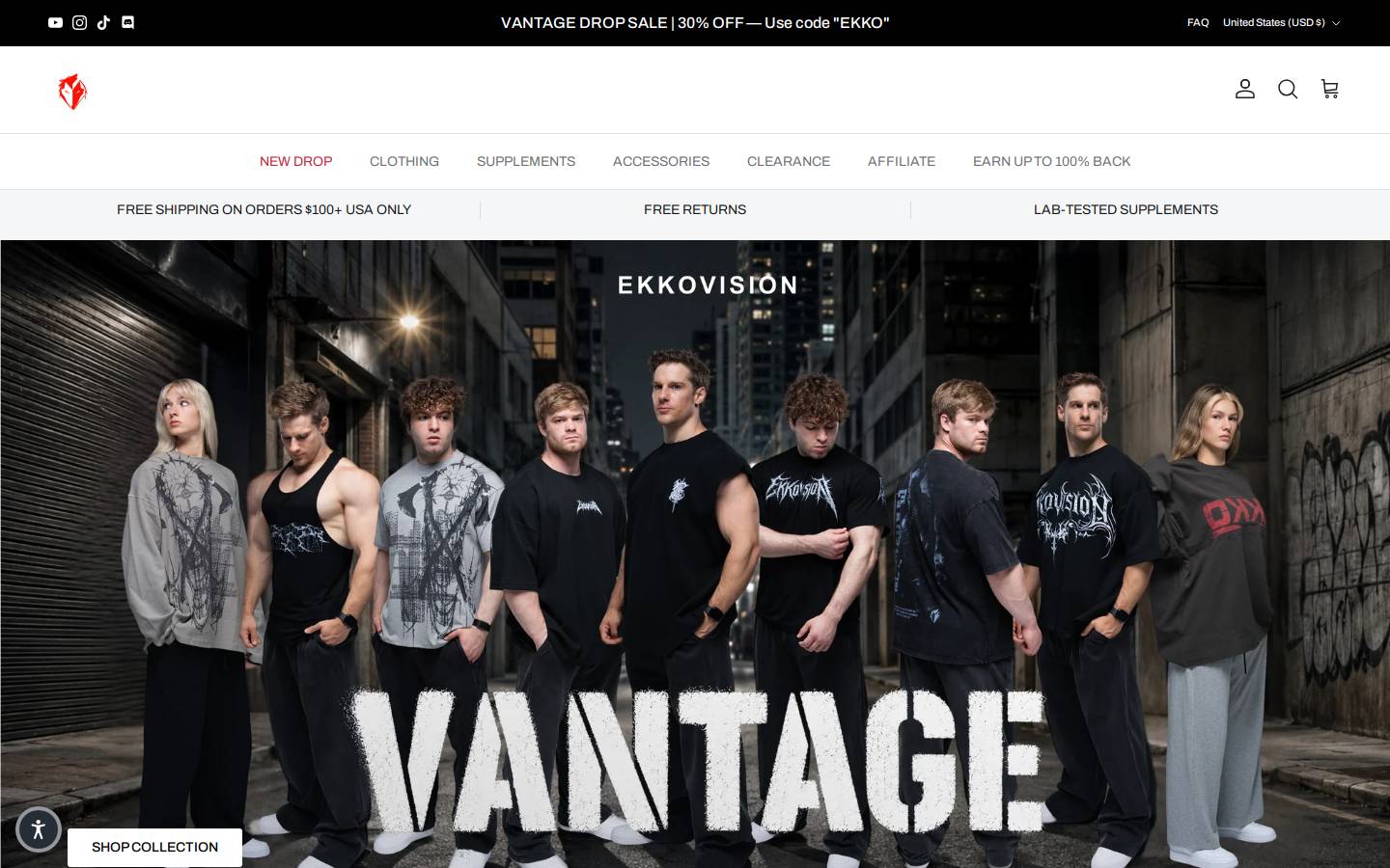 Ekkovision homepage screenshot