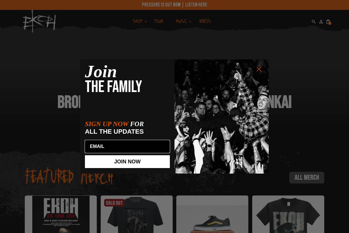 ekohmusic.shop homepage screenshot