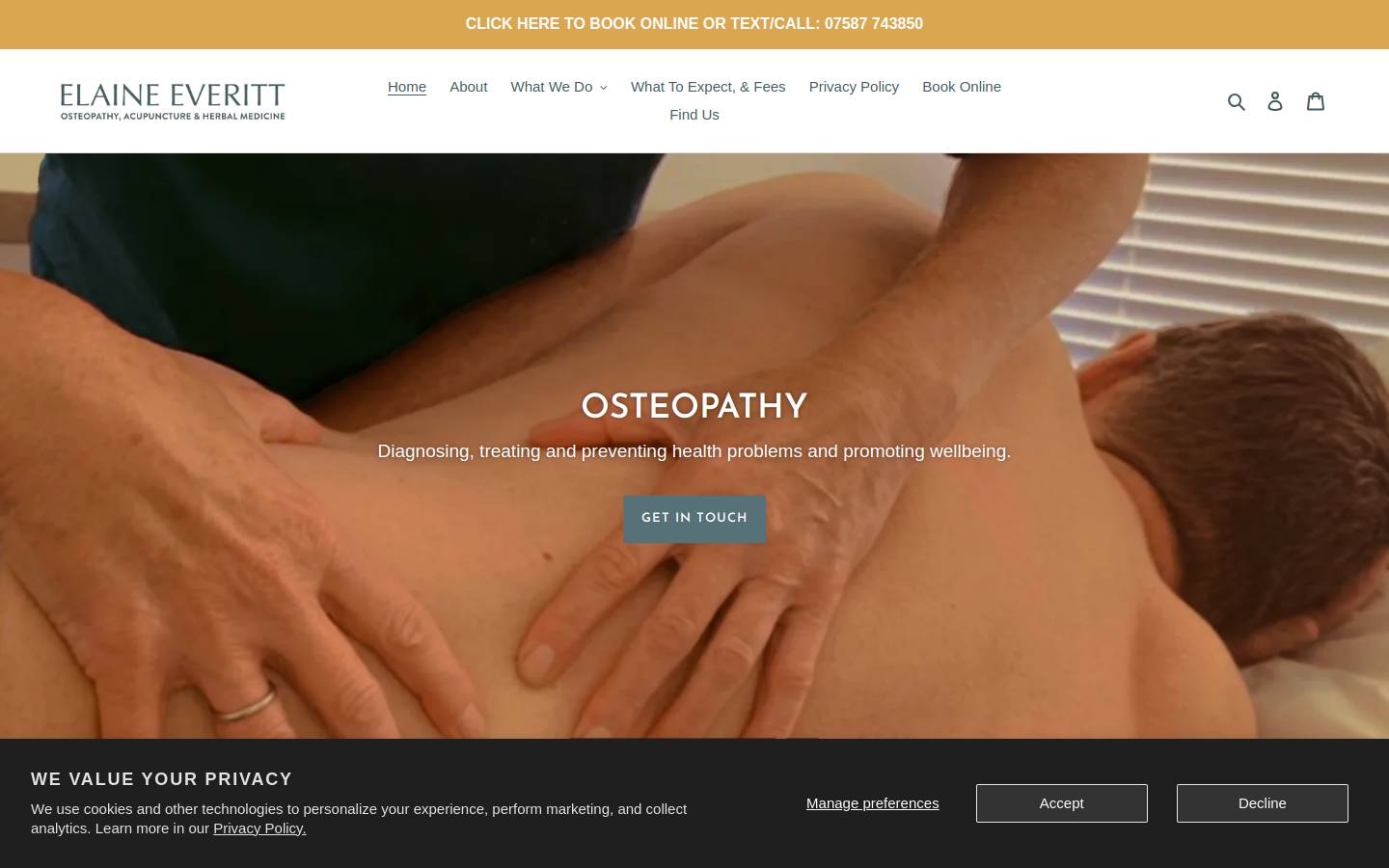 elaineeveritt.com homepage screenshot