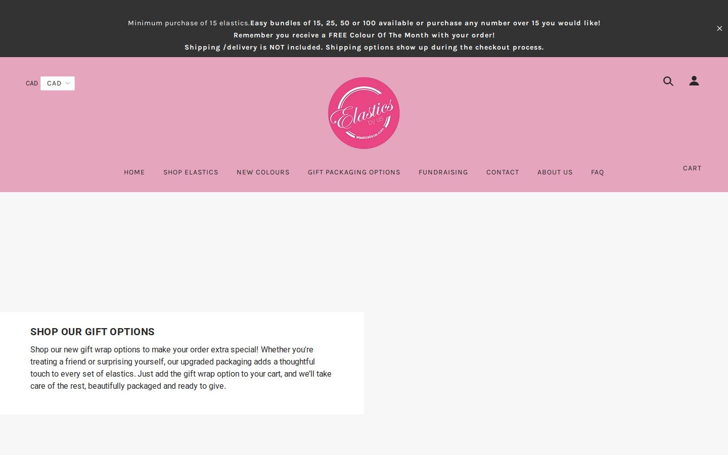 elasticsbyus.com homepage screenshot