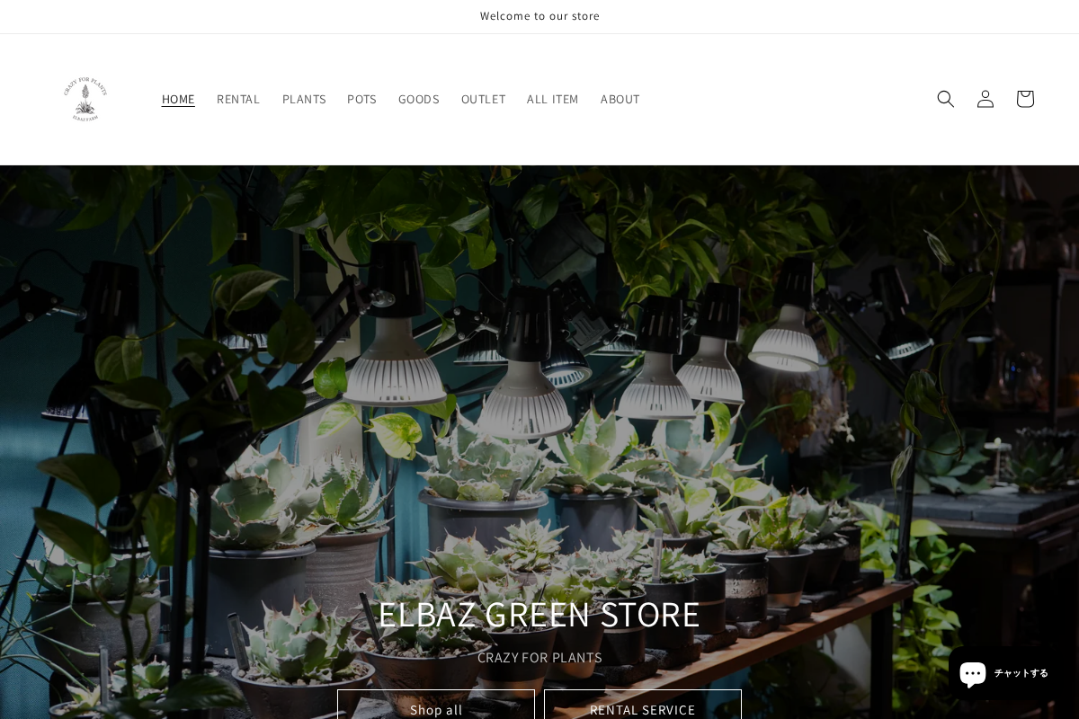 ELBAZ GREEN STORE homepage screenshot