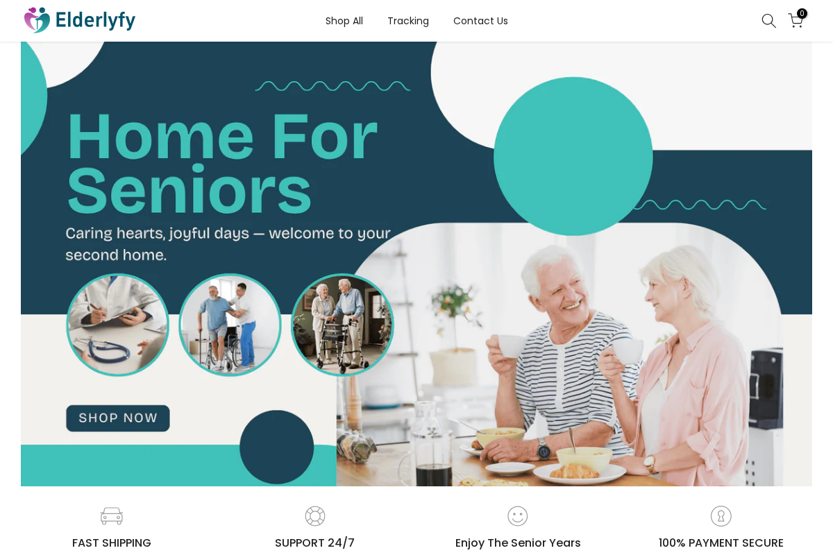 Elderlyfy homepage screenshot