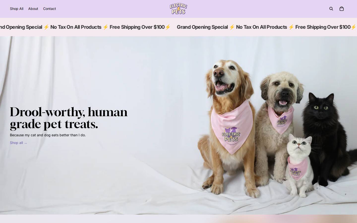 electricpetscanada.com homepage screenshot