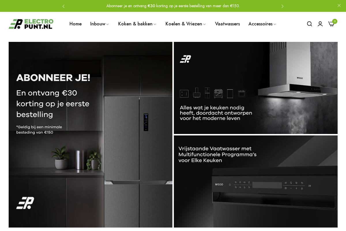Electropunt homepage screenshot