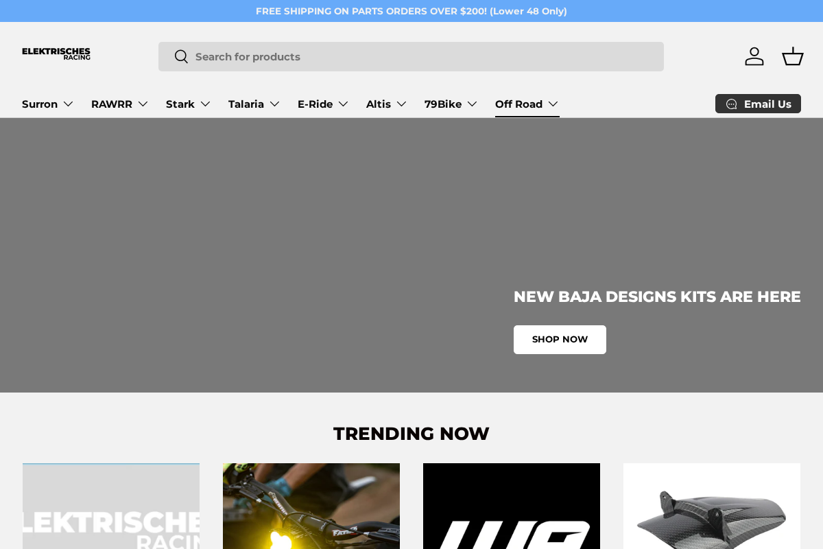 Elektrisches Racing homepage screenshot