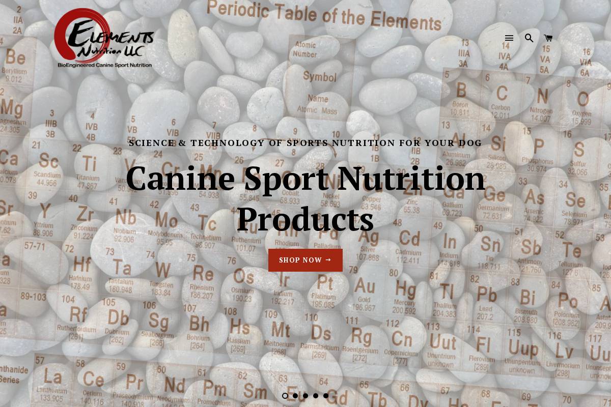 ELEMENTS Fitness & Wellness homepage screenshot