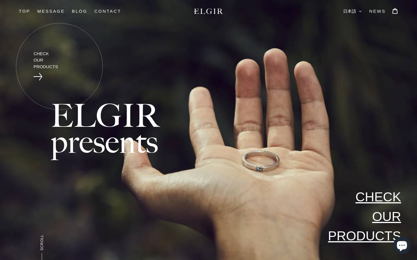 elgir.jp homepage screenshot
