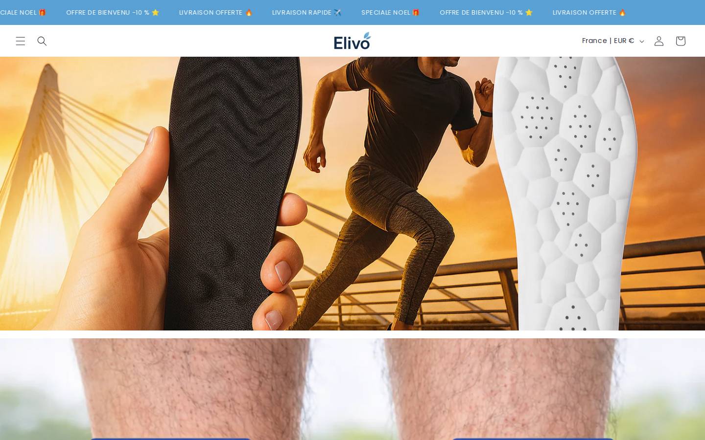 elivo.fr homepage screenshot