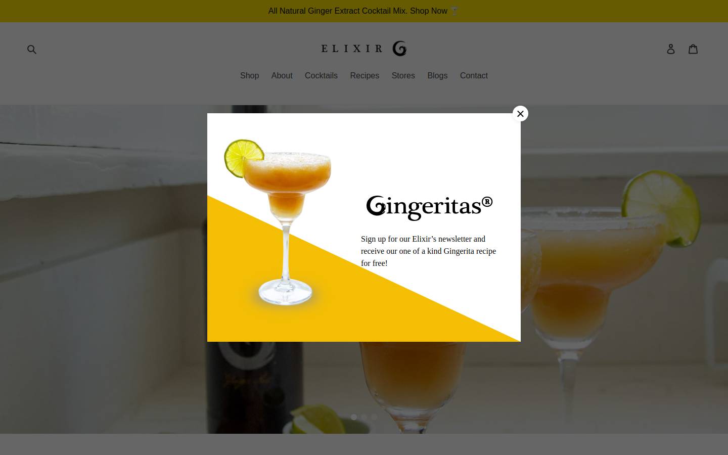 elixirg.com homepage screenshot