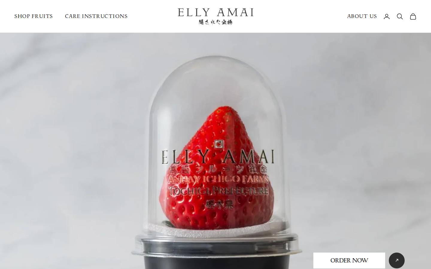ellyamai.com homepage screenshot