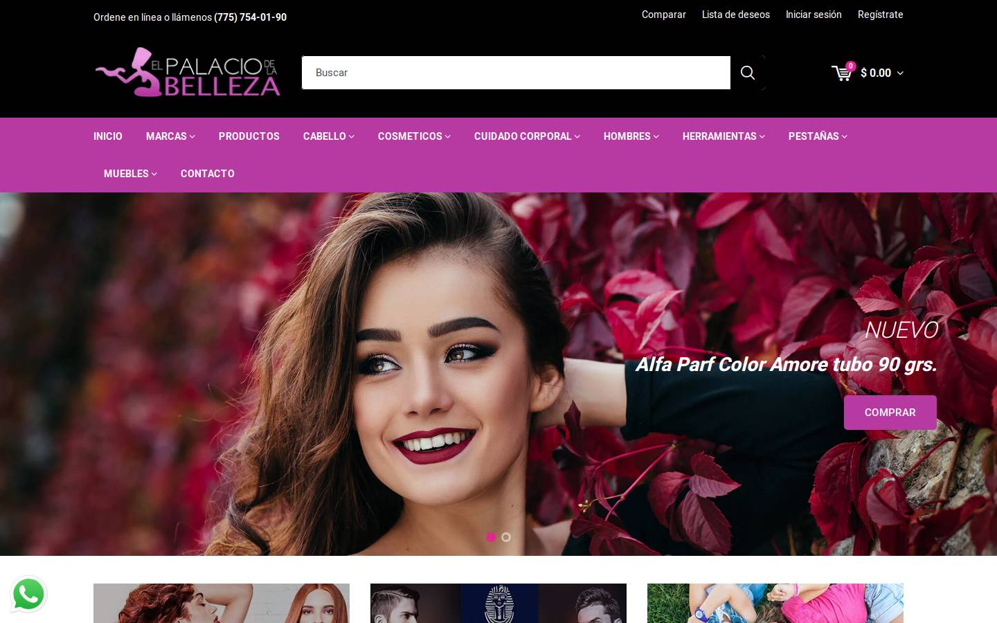 elpalaciodelabelleza.com.mx homepage screenshot