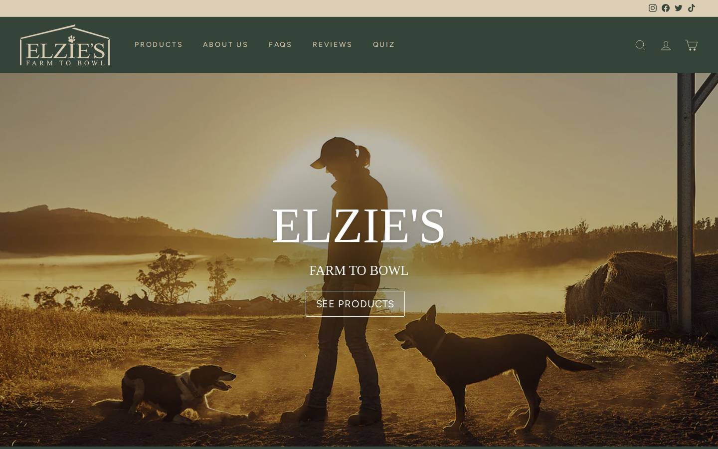 elzies.com homepage screenshot