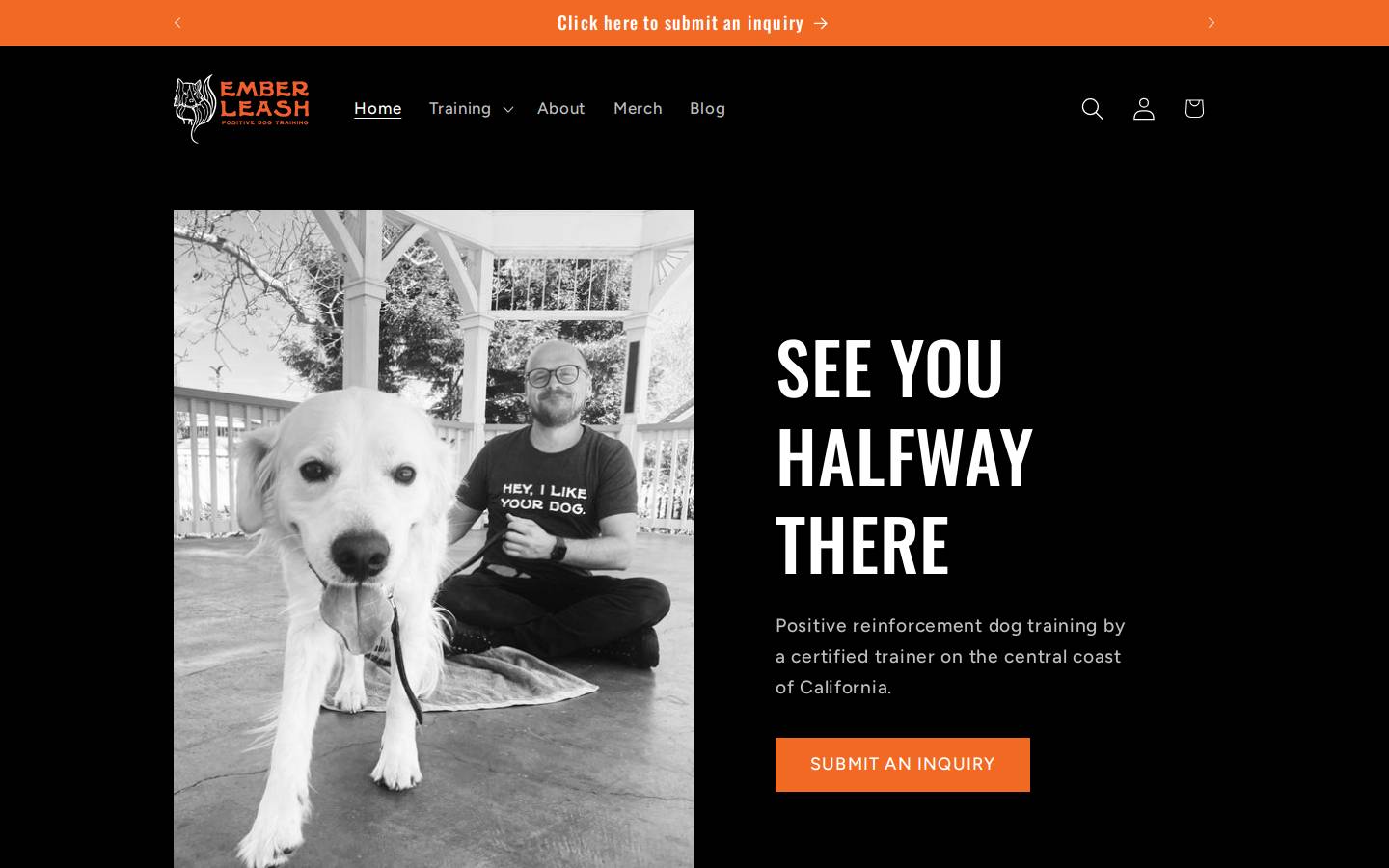 emberleash.com homepage screenshot