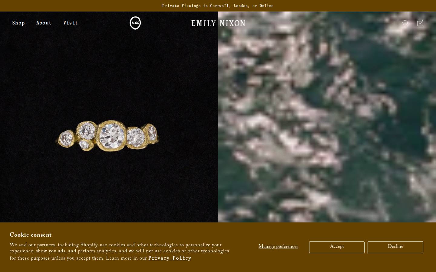 emilynixon.com homepage screenshot