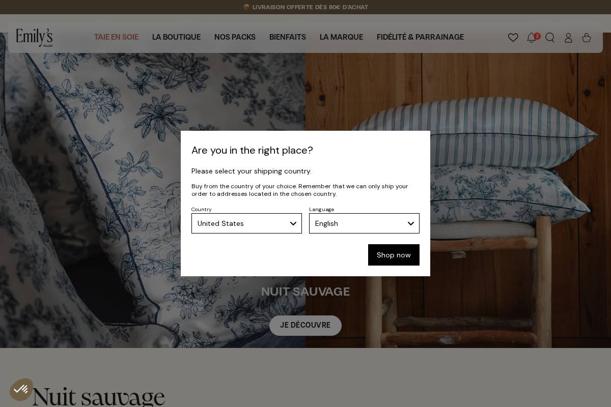 Emily's Pillow homepage screenshot