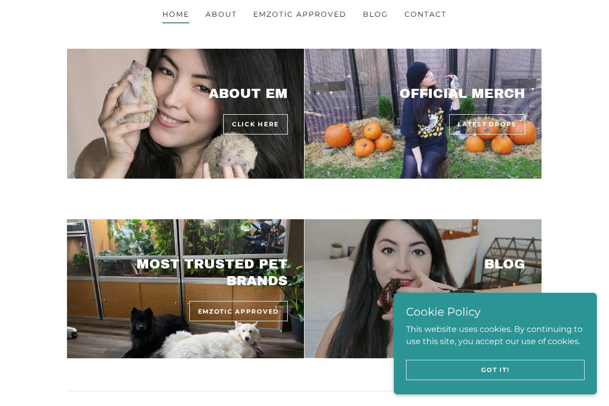 emzotic.com homepage screenshot