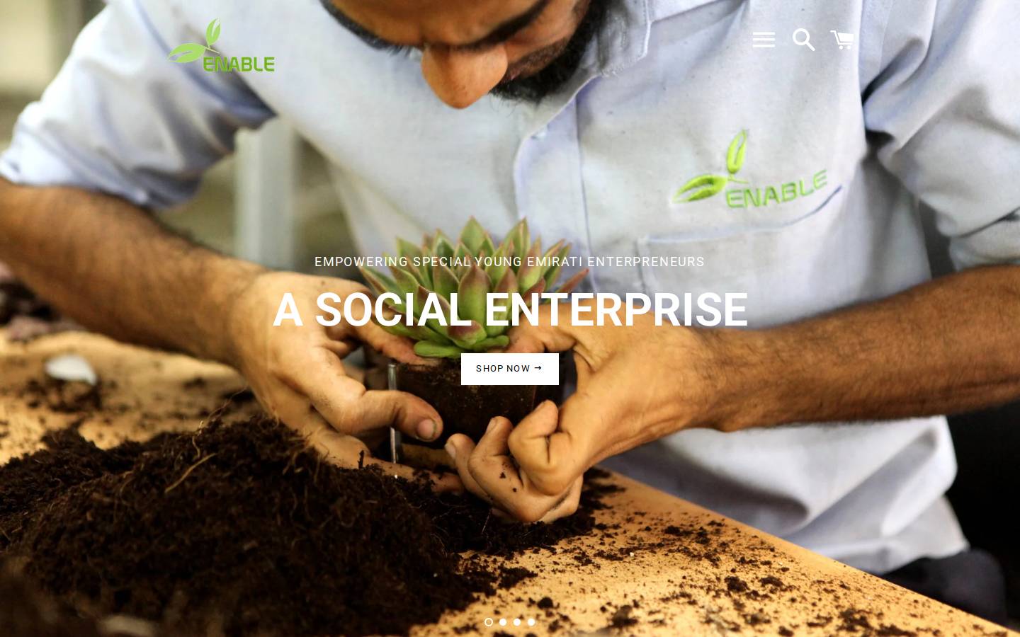 Enable homepage screenshot