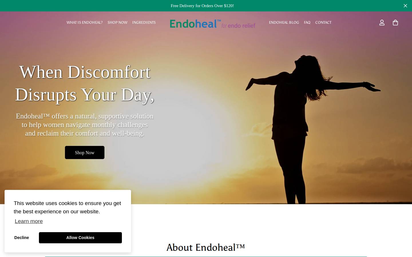 endoheal.com homepage screenshot