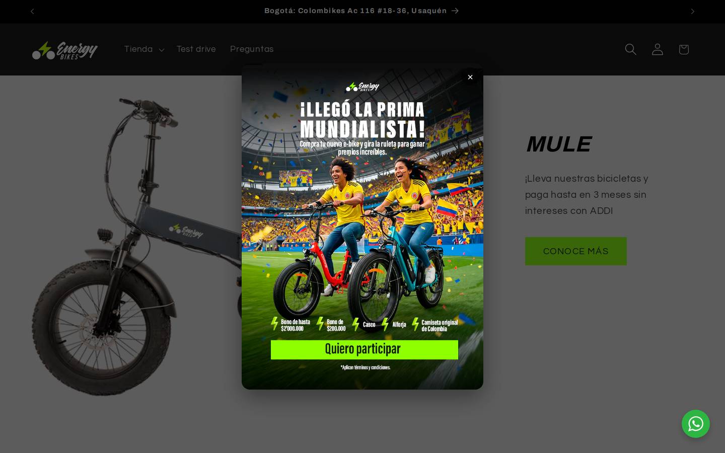 energybikes.co homepage screenshot