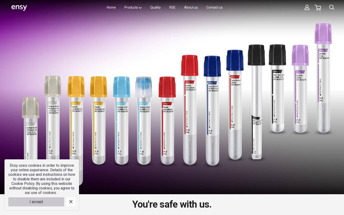ensy.ca homepage screenshot