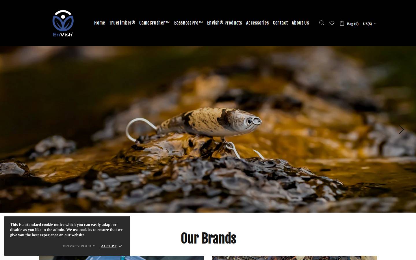 envish.com homepage screenshot