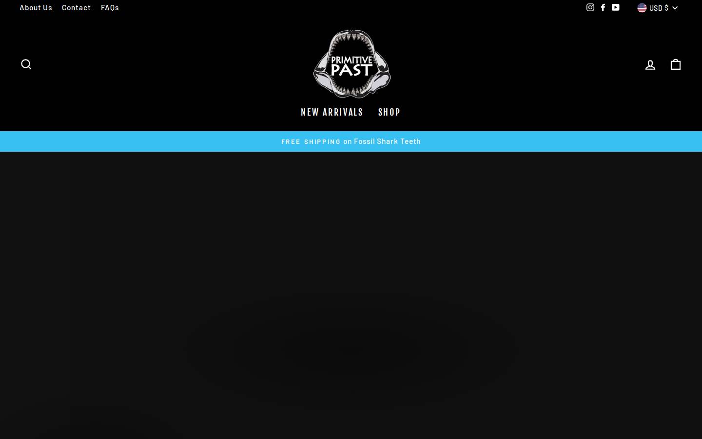 epicfossils.com homepage screenshot