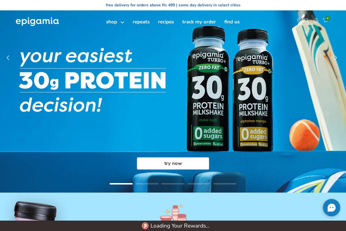 epigamiastore.com homepage screenshot