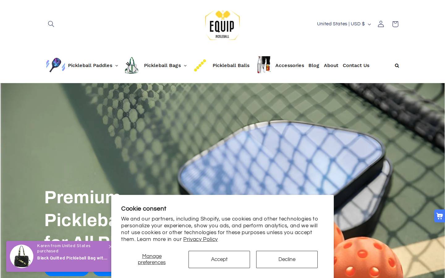 equippickleball.com homepage screenshot