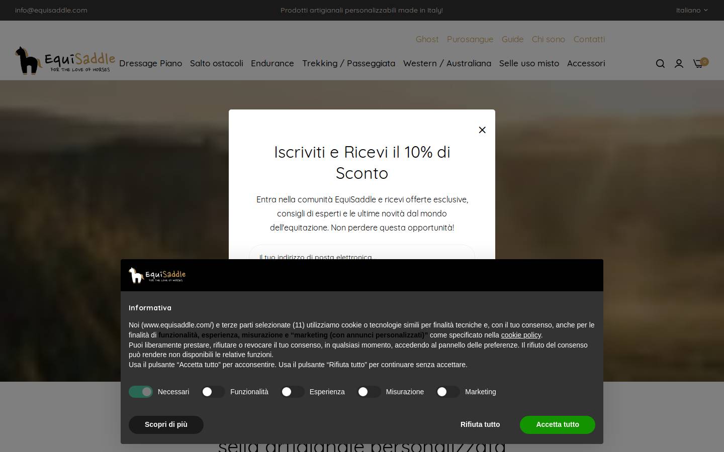 equisaddle.com homepage screenshot