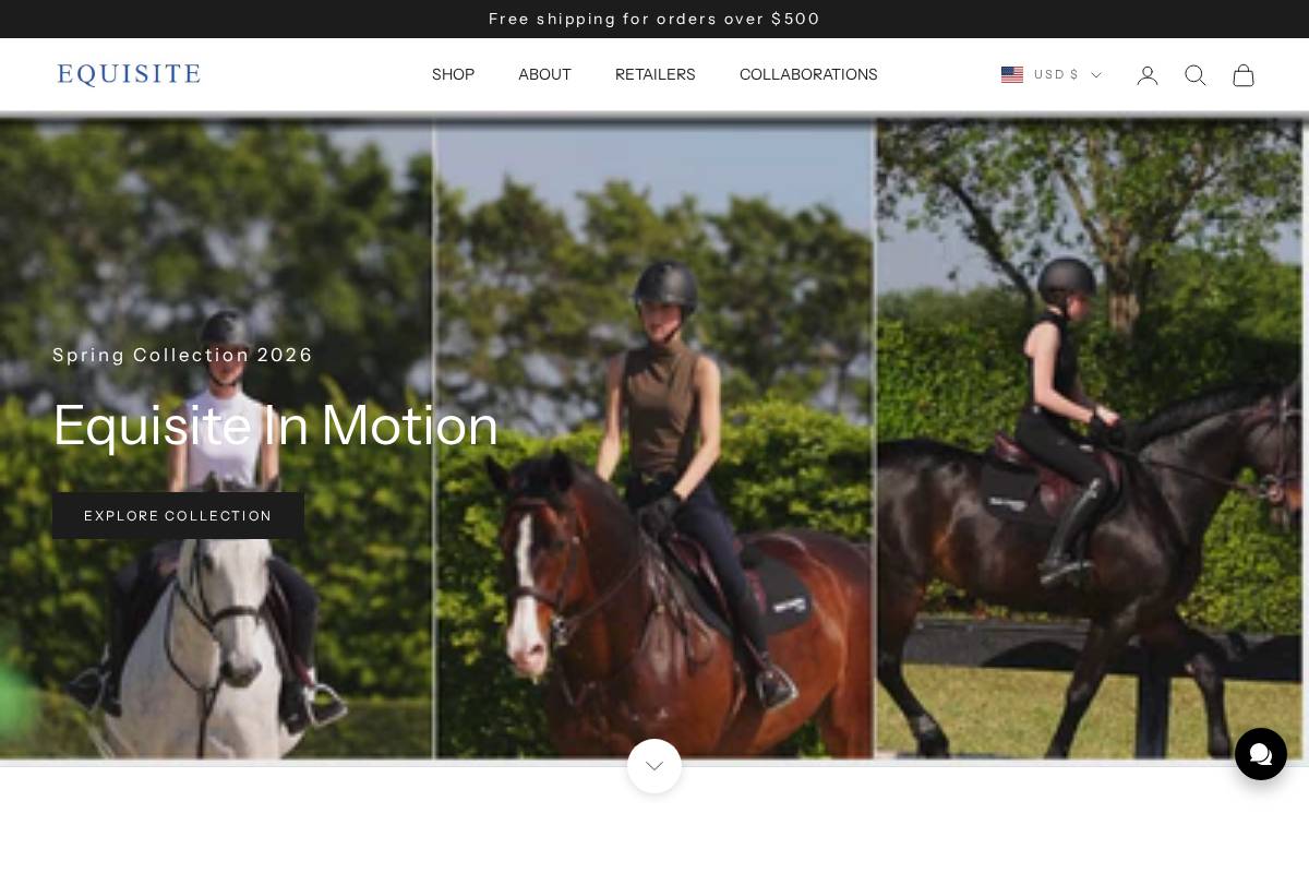 equisite-elementsofstyle.com homepage screenshot