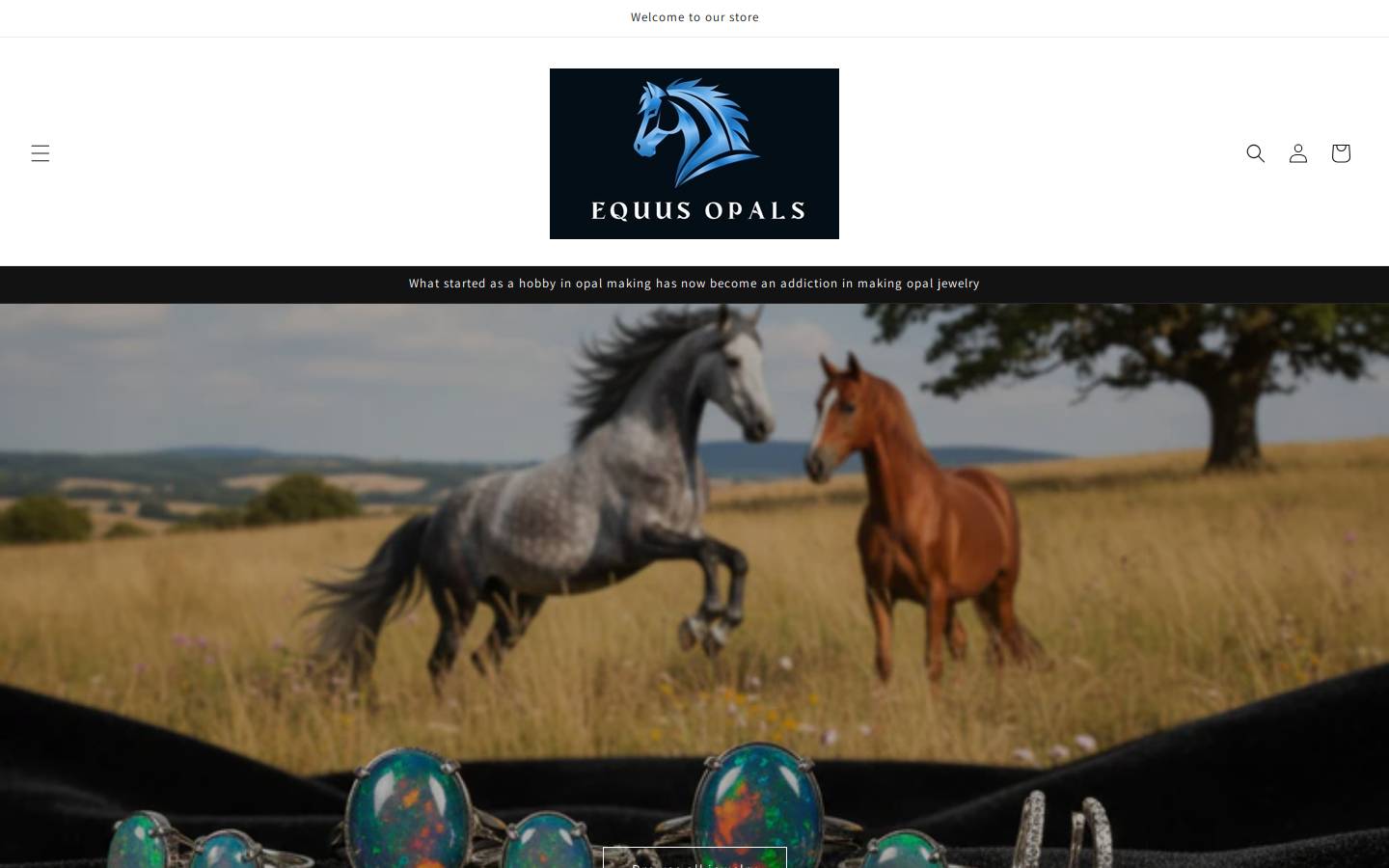 equusopals.com homepage screenshot