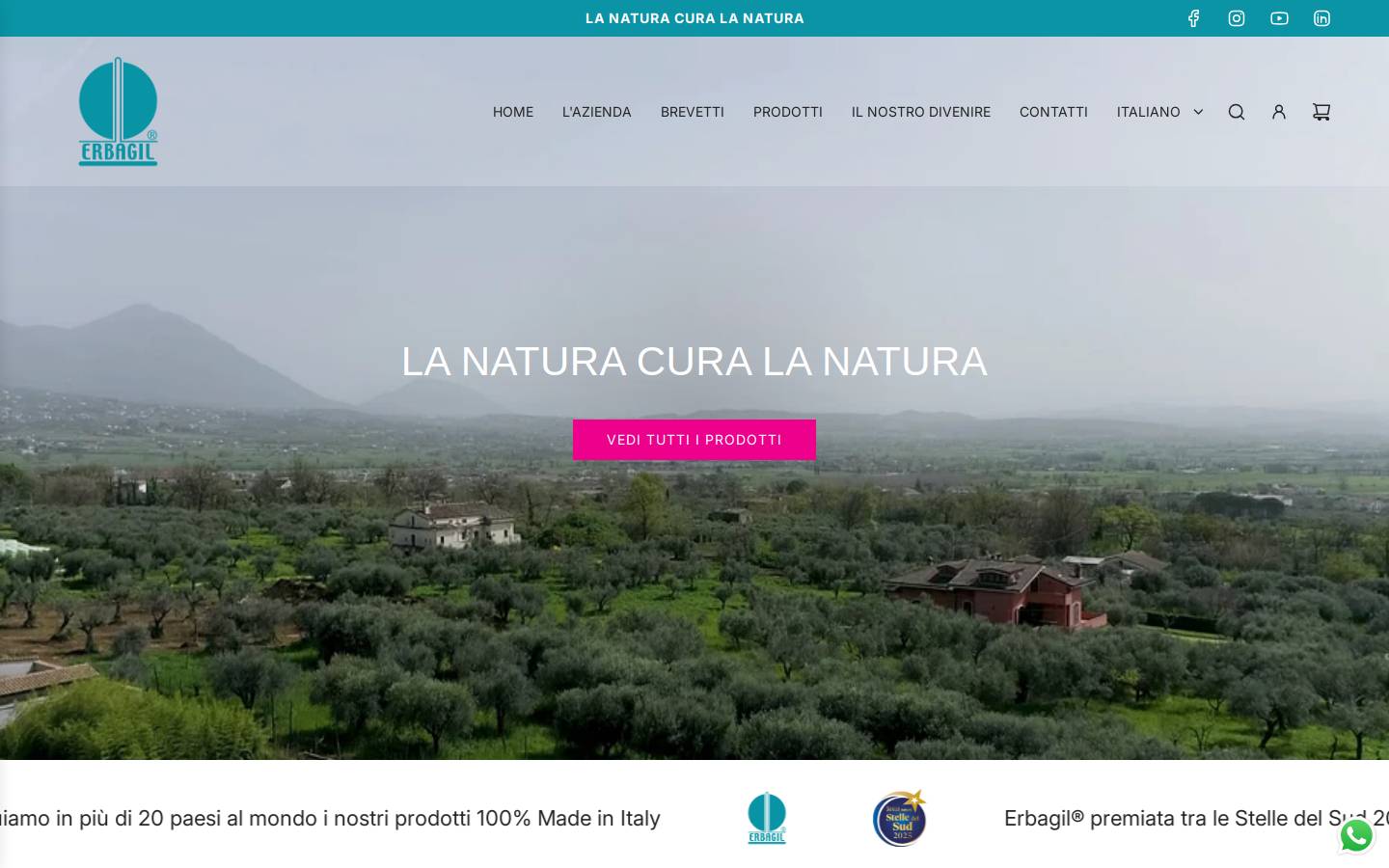 ERBAGIL homepage screenshot