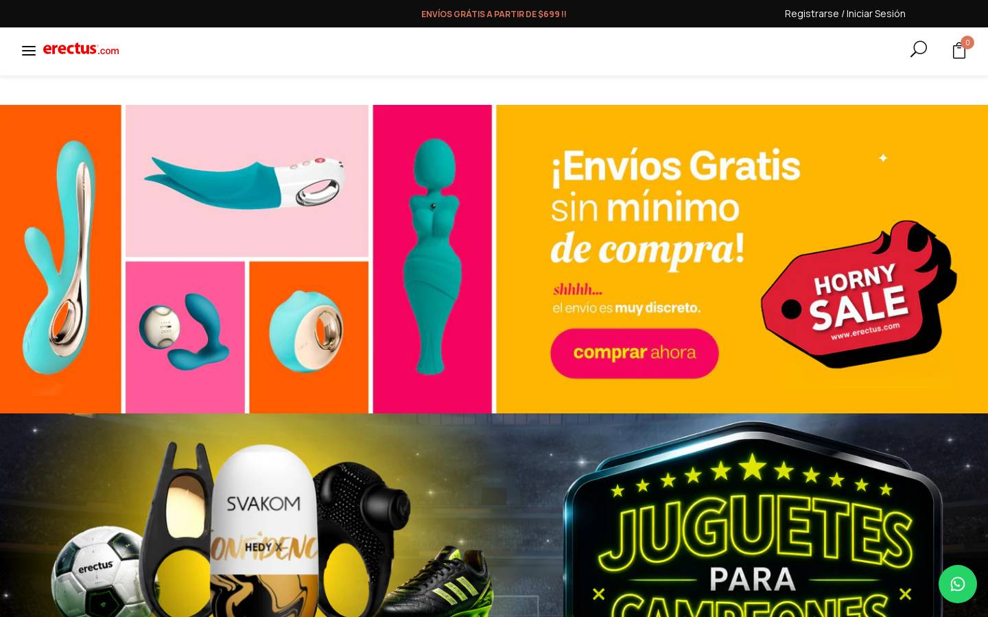 erectus.com homepage screenshot