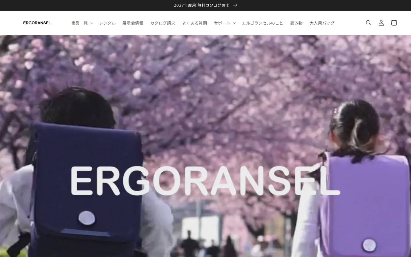 ergoransel.com homepage screenshot