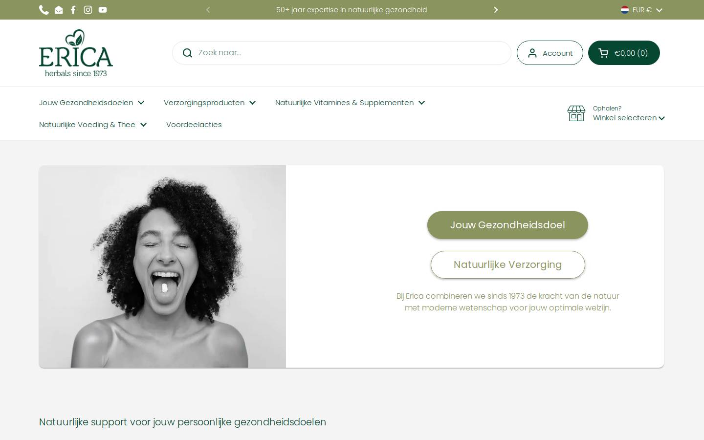 Erica homepage screenshot